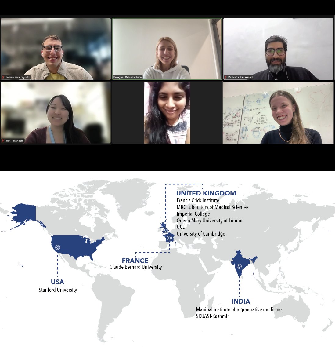 Thank you to the young researchers from around the world who have joined YEN! ✈️🌎 Become an International rep and help us expand our map: forms.gle/wyYLVQpPyKk8ZL…