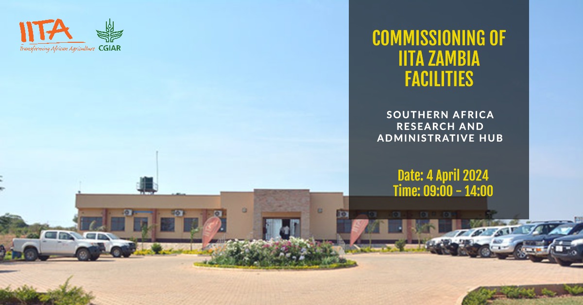 For over 30 years, IITA-@CGIAR has facilitated and supported capacity development efforts in #Zambia with a legacy that continues to pay great dividends in the country's #agriculture sector. With the launch of the Southern Africa Research and Administration Hub (SARAH) tomorrow,