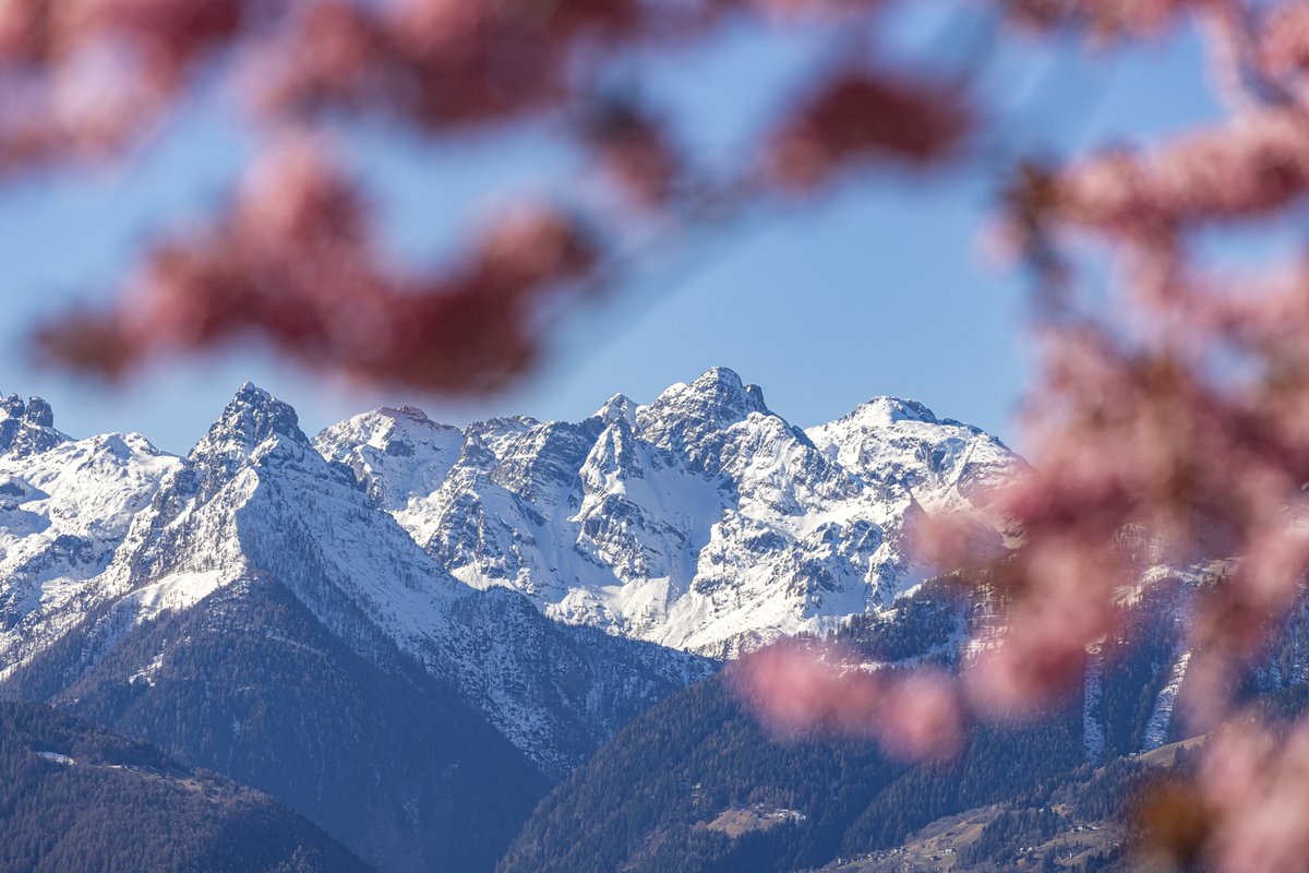 Il giusto mix #inverno e #primavera: #cartolina dal maestoso Pizzo dei Tre Signori! The perfect #mixture between #wineter and #spring: #postcard from the majestic Pizzo dei Tre Signori! @inLOMBARDIA