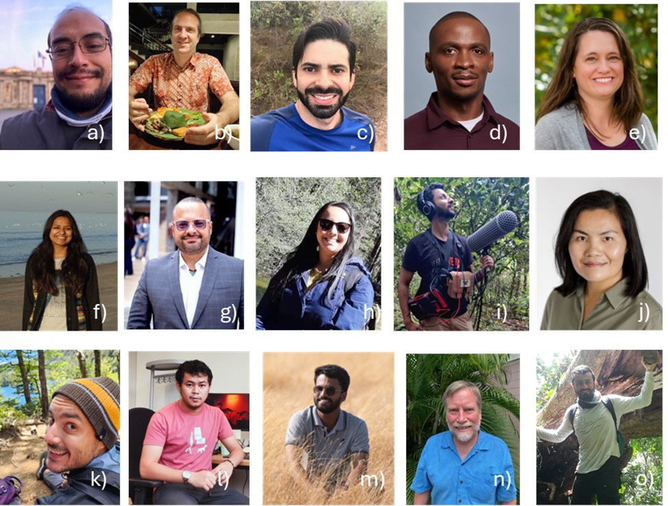 Biotropica's tweet photo. Welcome Our New Biotropica Subject Editors! We are the @theATBC journal!
 a) Andres, b) Francis, c) Cássio, d) Aires, e) Margaret, f) Shrushti, g) Jorge,  h) Iolanda, i) Vijay,  j) Mani, k) Mário, l) Kriz, m) Jithin, n) Jess, and o) Daniel! https://t.co/zRvyJwTyR8