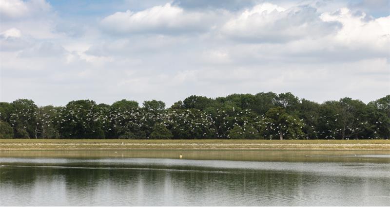 NFU members | Defra is seeking views on plans to update the data internal drainage boards use to allocate their costs to farmers and local authorities.

You have until 8 April to have your say👉ow.ly/zesr50R7hkT

Your views will be shared as part of the NFU's submission.