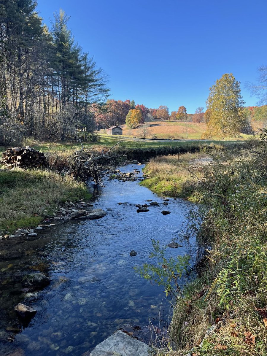 🎶 Back where it all begins ... #latergram #FloydCounty #FestivalPark #LoveVA @floydfestva @atwpva @festivalparkva @visitvirginia @visitfloydva