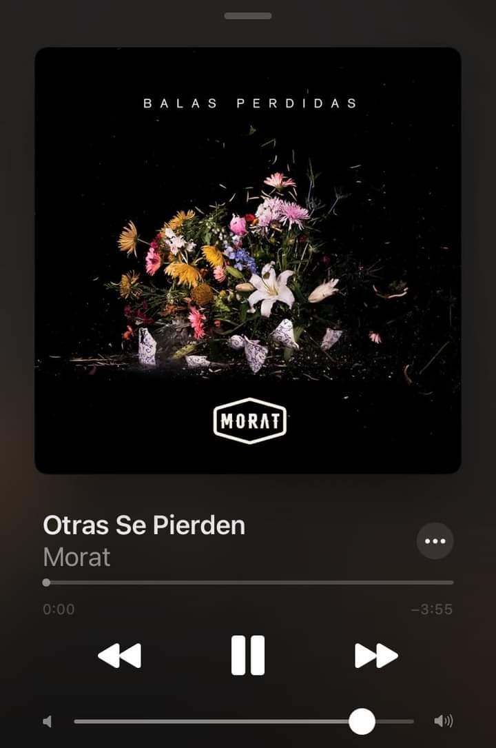 “Otras se pierden” de morat nos enseña que la única cura para el desamor y un corazón roto es el tiempo, que hoy parece que no sobrevivimos pero solo un día te despiertas y ya no duele, ya no extrañas, solo avanzas y aprendes.❤️‍🩹