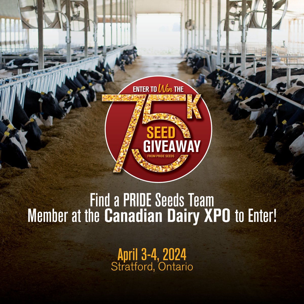 Join us in Stratford for the @dairyxpo today and tomorrow for your next opportunity to enter the 75K corn seed draw! 🎉 🔗 For details, visit: shorturl.at/bexHN Thank you for being part of our story! 🚜🌱 #PRIDESeedsAnniversary #EnterToWin #GrowWithPRIDE #PRIDEInMyField