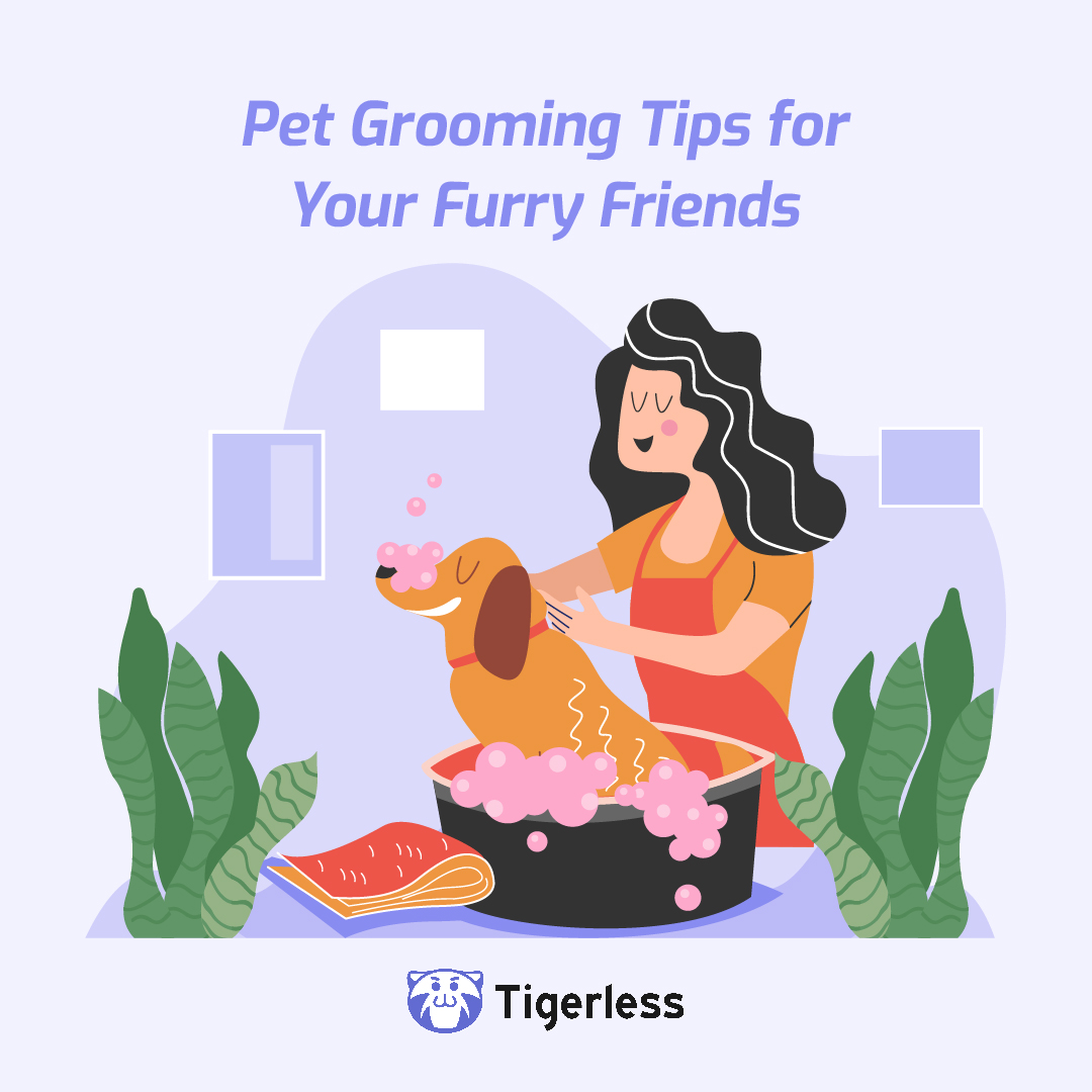 tigerlessins's tweet image. Discover the ultimate pet grooming guide on our blog! Whether it&apos;s a sleek haircut or a soothing bath, we&apos;ve got the tips and tricks to keep your furry friend looking and feeling their best!
tigerless.com/blogde/pet-gro…

#petgrooming #groomingguide #groomingtips #pets