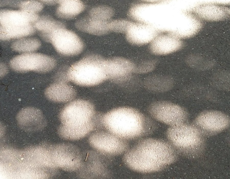 Why are the dappled shadows under a tree round? Can you figure this out (and why this is so interesting DURING the eclipse)? What else should I be noticing during the eclipse? Join the search...  #TheJoyOfSearch #SearchResearch searchresearch1.blogspot.com/2024/04/search…