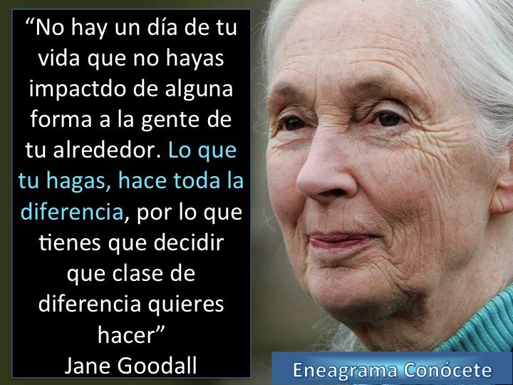 Mujer, 90 años, altruismo, empatía, voluntad, sensibilidad...no hay una única forma de describirla #janegoodall90