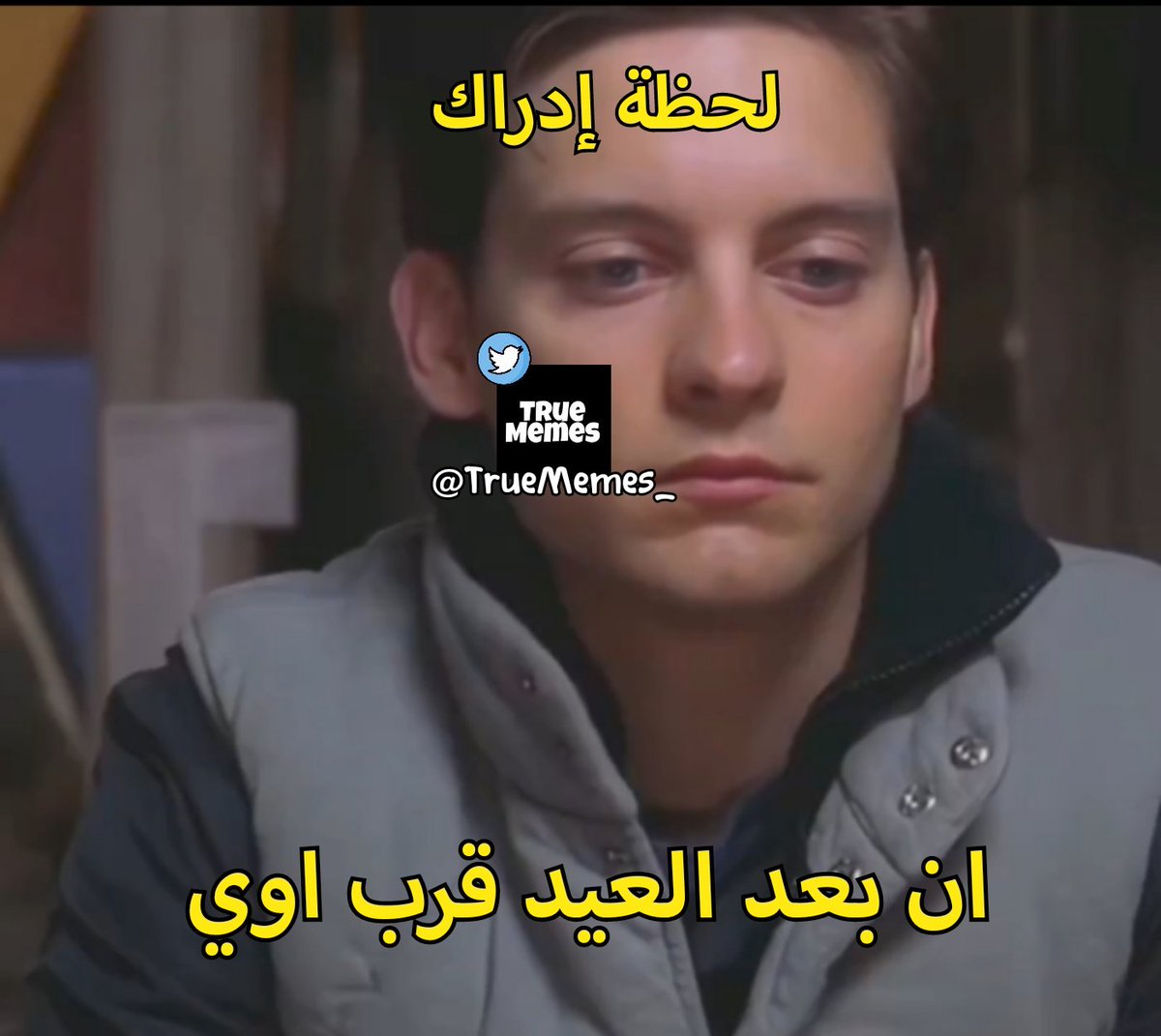 True Memes (@truememes_) on Twitter photo 