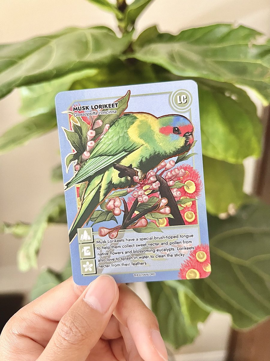 theavianlord tweet media