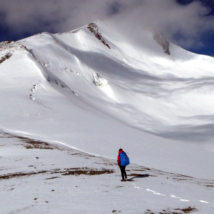 Mark Horrell 🗻 tweet media