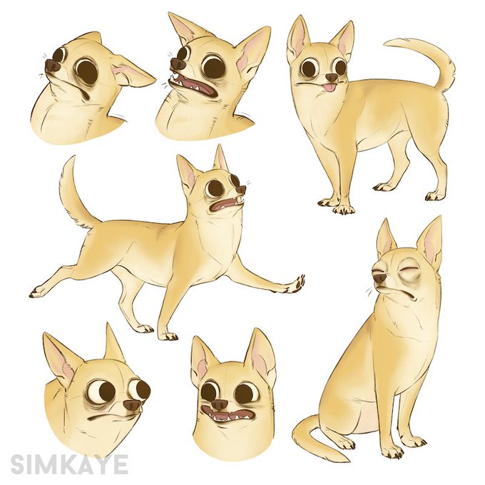 「shiba inu」 illustration images(Latest｜RT&Fav:50)