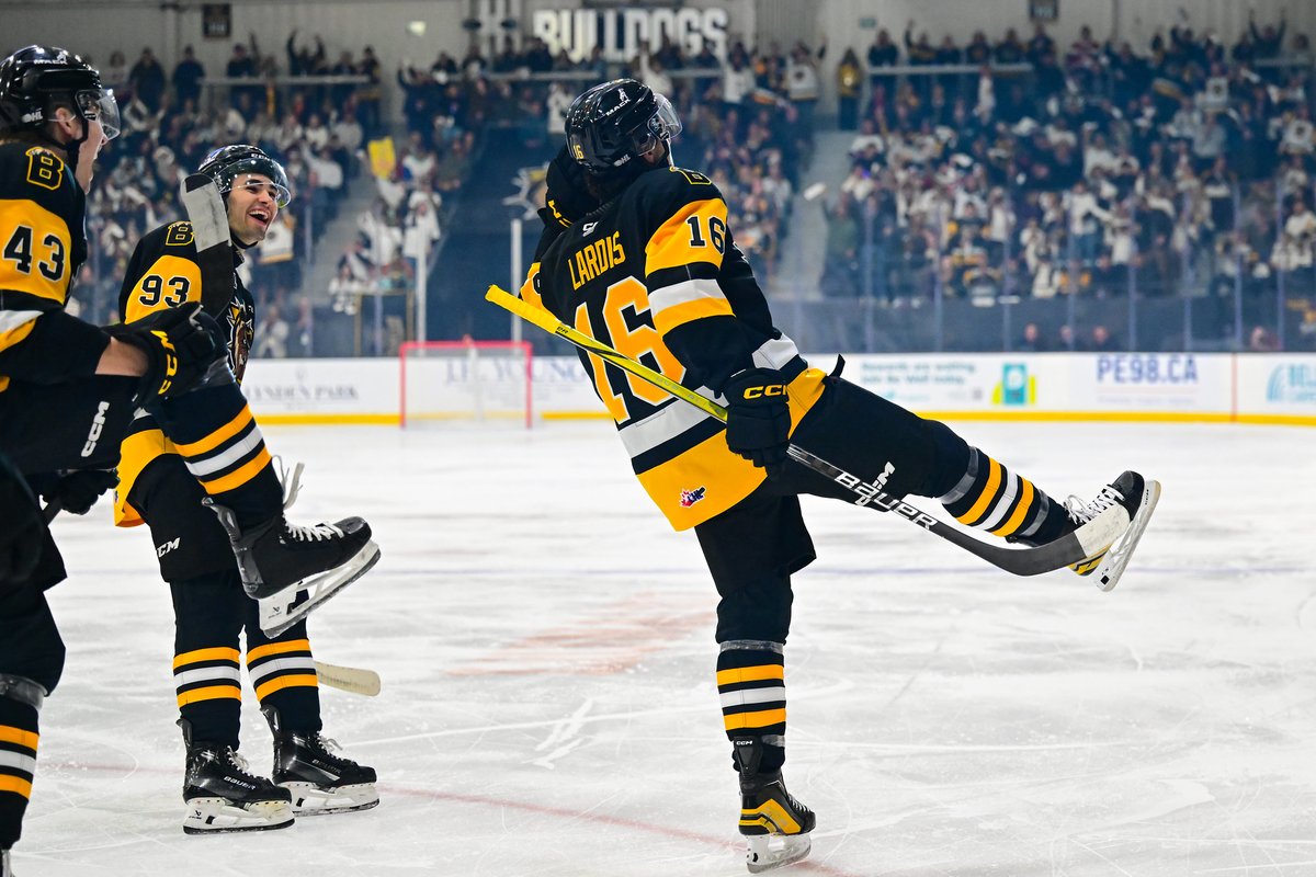 BulldogsOHL tweet picture