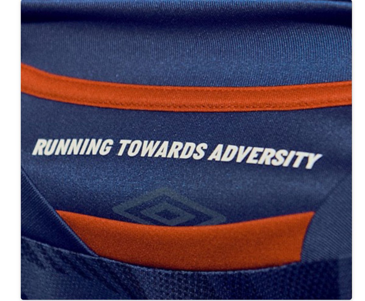 Does anyone know what font style our 'running towards adversity' logo is?