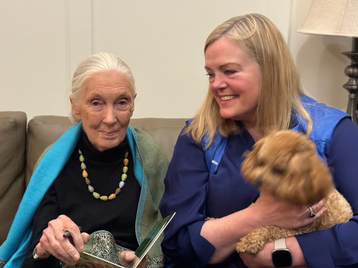 Newday Impact Investing (@newdayinvesting) on Twitter photo Today we wish a very happy 90th birthday to Jane Goodall, passionate champion for animals and humanitarian for nearly a century!
Photos from a special celebration last weekend with <a href="/JaneGoodallInst/">Dr. Jane Goodall & the Jane Goodall Institute</a>, @nationalparkfdn <a href="/NewdayInvesting/">Newday Impact Investing</a>
#janegoodall #animalwelfare #impactinvesting Today we wish a very happy 90th birthday to Jane Goodall, passionate champion for animals and humanitarian for nearly a century!
Photos from a special celebration last weekend with <a href="/JaneGoodallInst/">Dr. Jane Goodall & the Jane Goodall Institute</a>, @nationalparkfdn <a href="/NewdayInvesting/">Newday Impact Investing</a>
#janegoodall #animalwelfare #impactinvesting