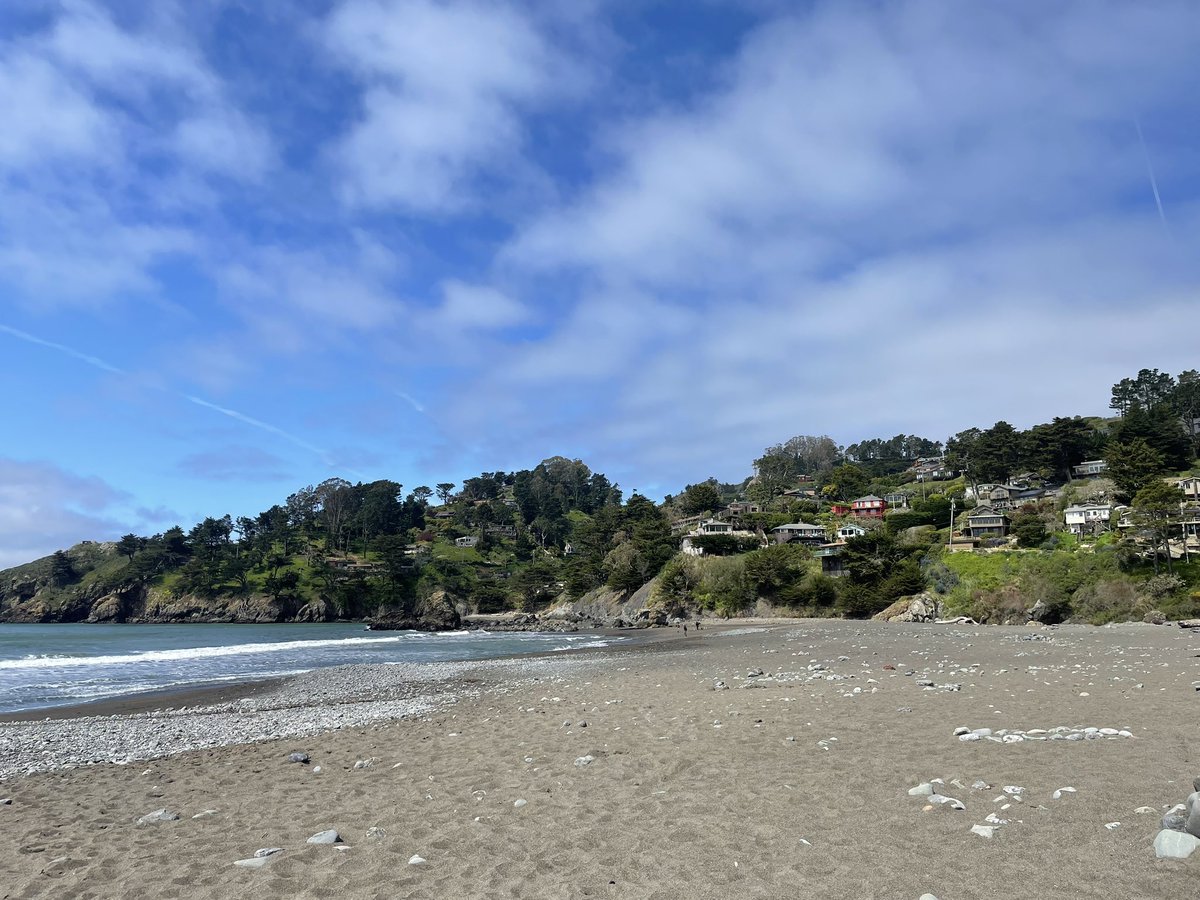 whopsauce13's tweet photo. Muir Beach day. Always funny as hell watching tourists show up to Bay Area beaches in shorts and tank tops freezing their asses off. Rookies ๐ฅถ๐ฅถ#MuirBeach #Marin https://t.co/ANNffB8QPN