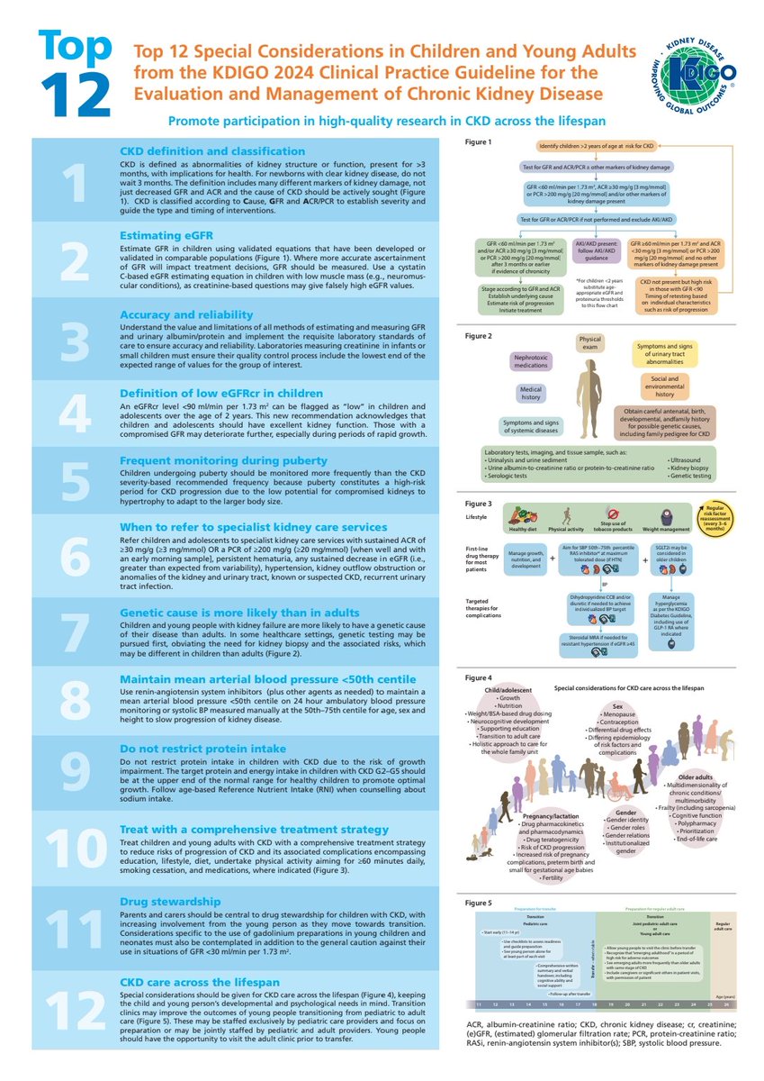 Top 12 special considerations in Children and Young adults #KDIGO 2024 Clinical Practice Guidelines for evaluation & management of #CKD