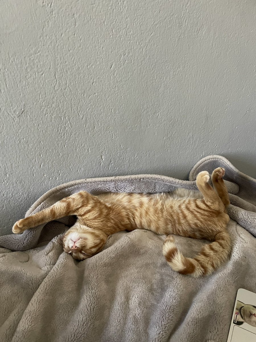 handisgo's tweet image. neydik / ne olduk