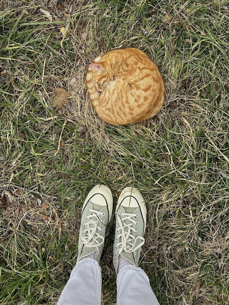 handisgo's tweet image. neydik / ne olduk