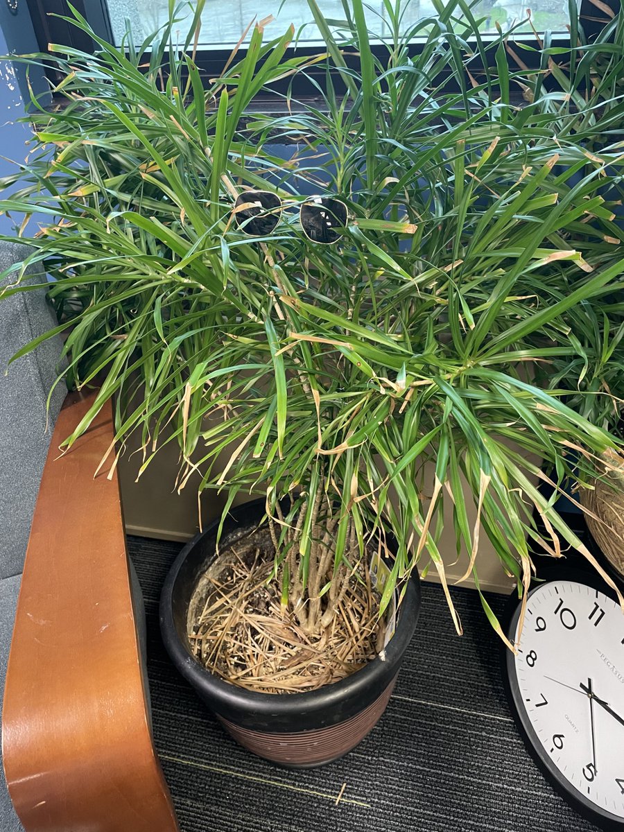 UI Dept. of English tweet media