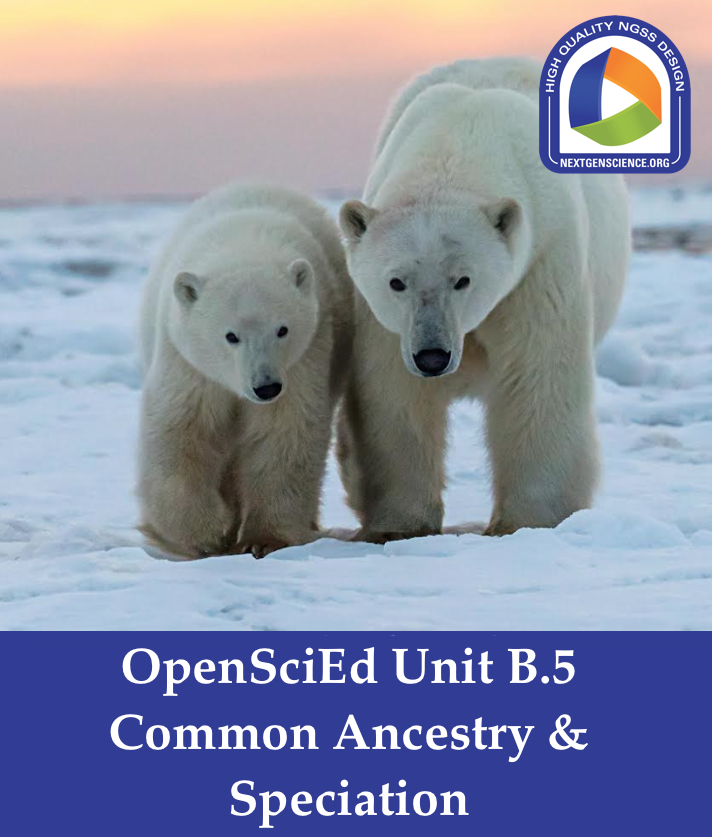 New High-Quality Unit Posted! In this @OpenSciEd high school life science unit, students investigate the implications of rare bear sightings in Wapusk National Park as the Arctic warms. It was awarded the #NGSSDesignBadge by the #SciencePRP: nextgenscience.org/resources/high…'