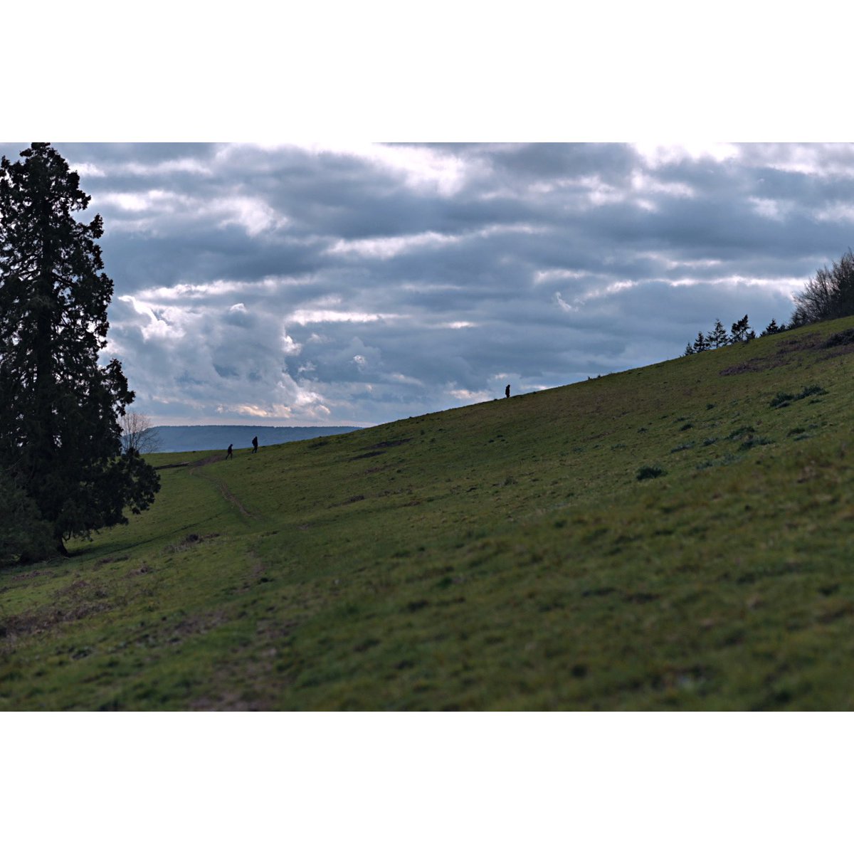 There’s a pretty awesome stone circle on the hill behind my studio, created by some druids in the late 90s. Enjoyed a walk up there this afternoon.