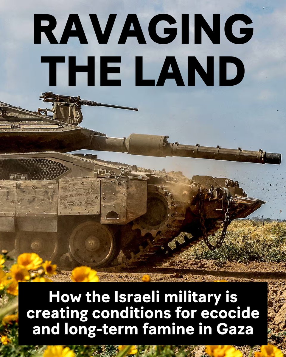 The Israeli military has relentlessly bombed farmland in Gaza and killed Palestinian farmers and agricultural workers. This is intentional. This is ecocide. This is creating conditions of long-term famine. 🧵