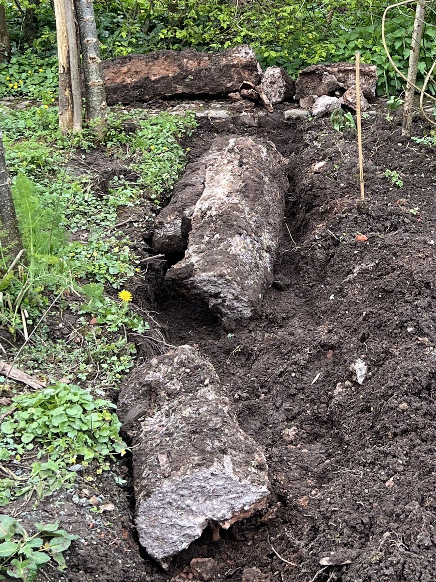 There seemed to be lot of stone when planting- explored further - discovered concrete foundations fit for skyscraper. Gentle gardening has become major excavation.