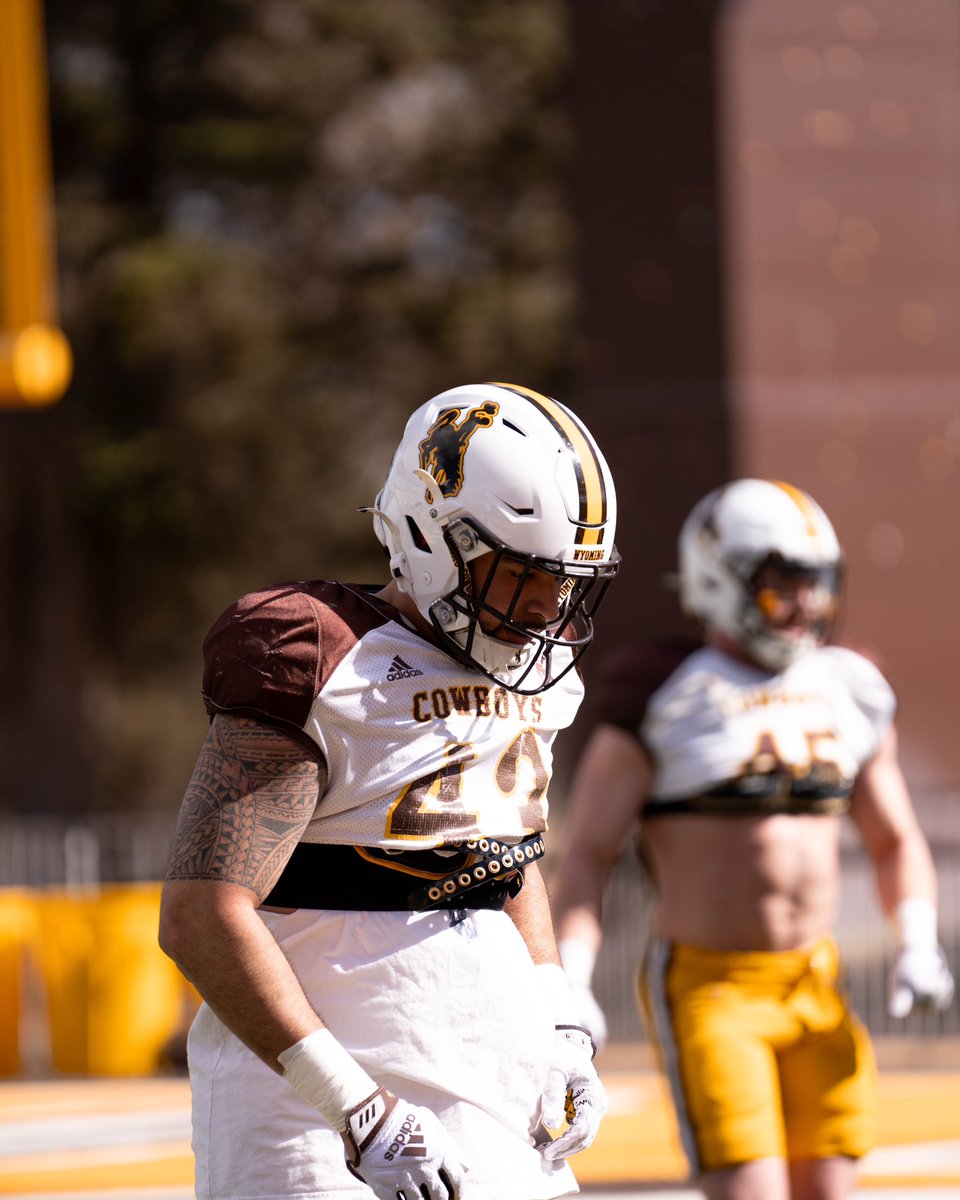 wyo_football's tweet image. "I know the people that came before, so I'm trying to carry on the tradition.”

@shaetbs returns to continue LBU legacy at Wyoming &amp;gt;&amp;gt; bit.ly/4cBQFYV

@By_RyanThorburn X #RideForTheBrand