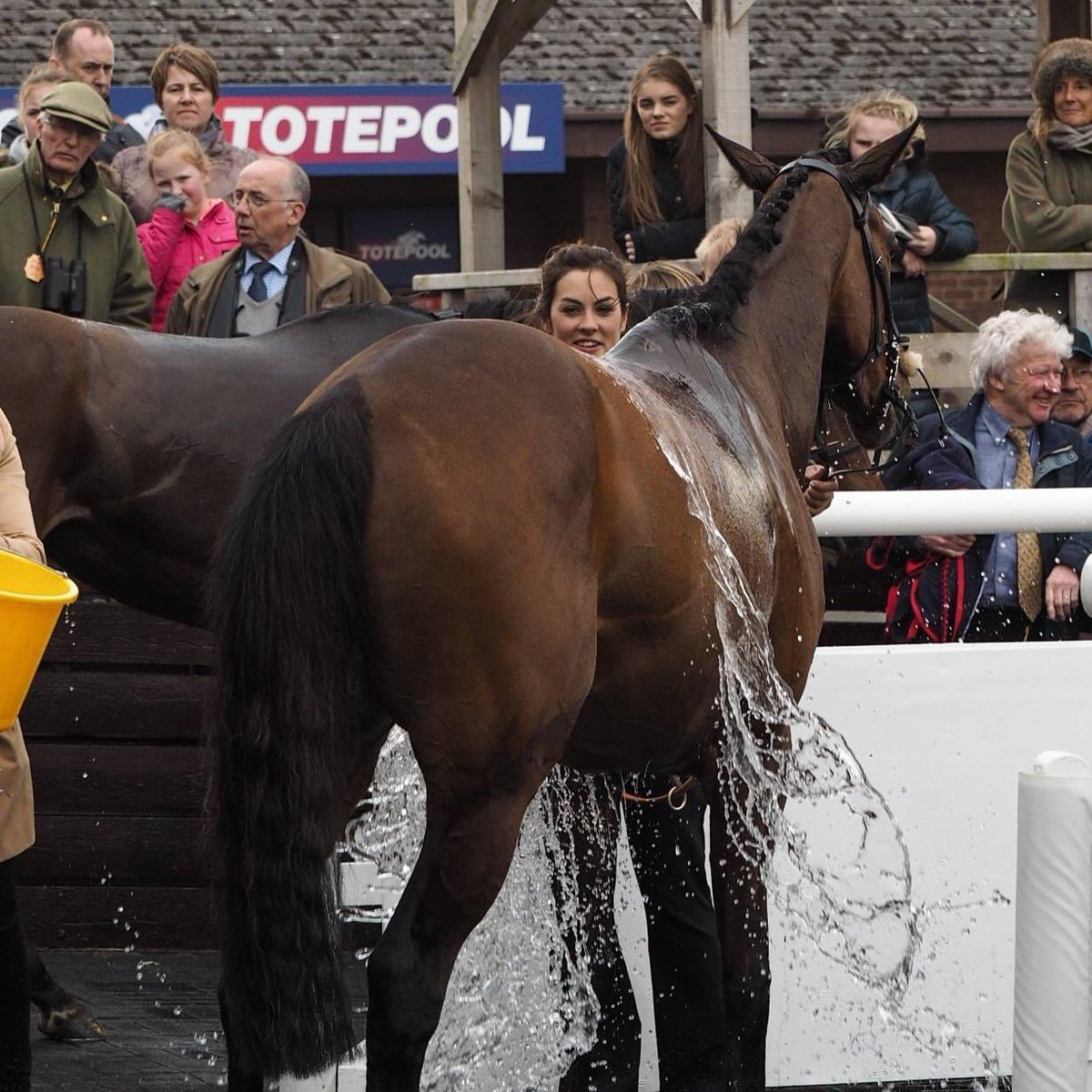 7 years ago today… GRACE TARA wins at Kelso 🥇🏆 Her second win of that 2016/17 season 🥇🥇 Trained by @MichaelScu, ridden by @tommyscu and owned by our @havingamare2015