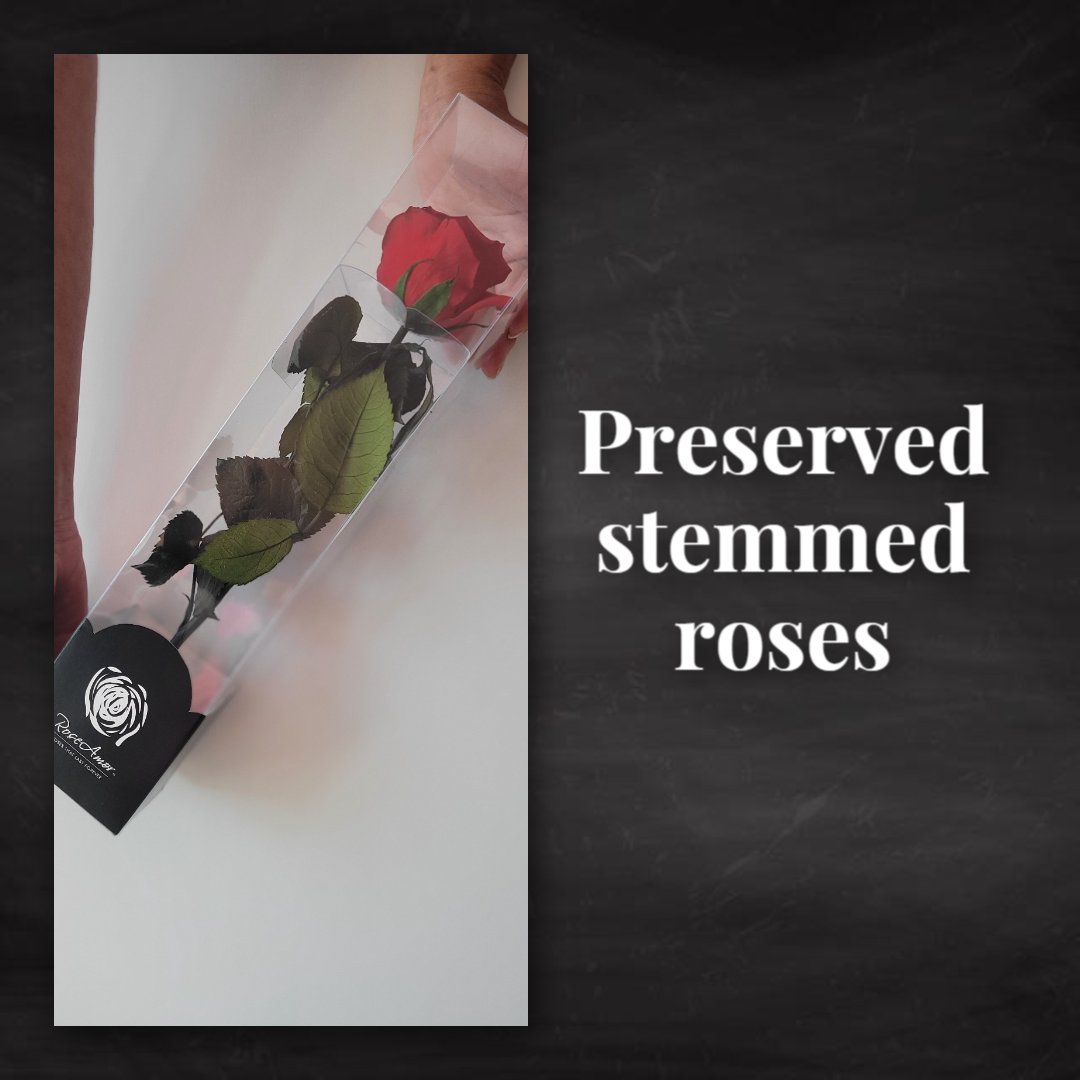 Shop endlessblossoms.etsy.com for preserved stemmed roses and preserved flowers. #preservedroses #stemmedroses #redroses #whiteroses #eternalroses #valentinedaygifts #valentinedaygiftideas #roseonstem #preservedrosestem #preservedroseonstem #redrose #redroses #preservedredroses