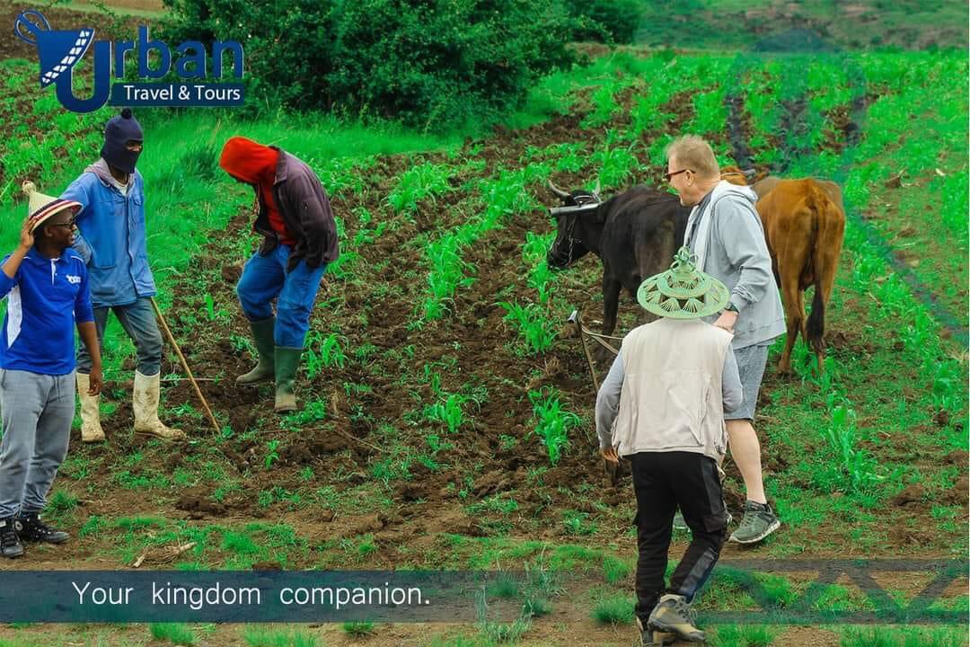 lesotho_tourism's tweet image. For attractive tour packages, look no further than our local Tour Operators:

This here is Urban Taxis &amp;amp; Tours,a Lesotho based Travel Company,specializing in Tour Operations, Airport shuttles, Camping and Hiking Equipment Hire. For more information, Call (+266) 5915 1197/27319097