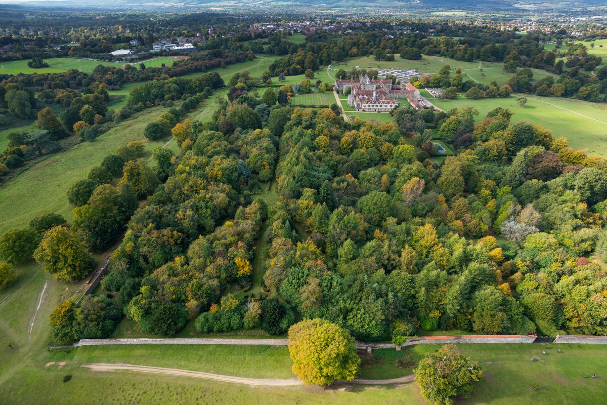 Veteran Tree Walk at Knole | 15 Apr | 10.30am | £10pp Join a guided walk led by Richard Arnold, Director of Tree Craft. Booking essential via website or call 0344 249 1895. #veterantrees #sevenoaksevents #knolepark ©NT Images/James Dobson/David Sellman/Mike Calnan/Chris Lacey