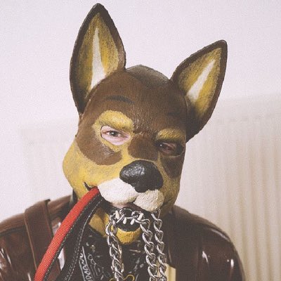 MrHumanPup's tweet photo. In on all of these…won’t be looking to add anything else until these play out.

All energy which been great performer besides one bio.

$ACDC $ESTA $BOOM $DO $PBF

Let’s ride 

Ruff ruff https://t.co/TgeR1x8khY