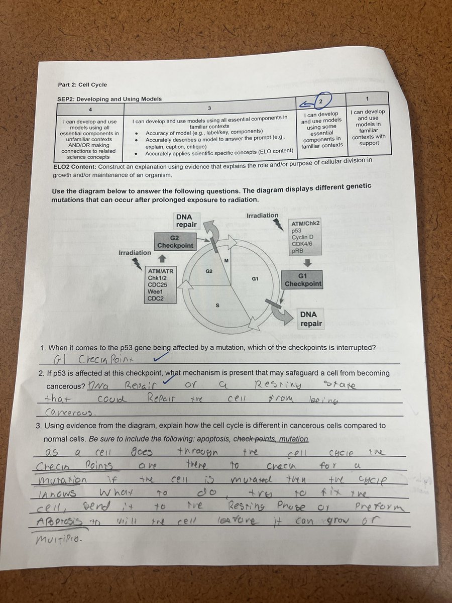 Sitting in with Biology teachers on their prep period to help calibrate and grade. Calibration ensures consistency and fairness. It’s also great fun 🤩 🧬 Great work from the Biology Davies Crew #gpsproud #gradingreform