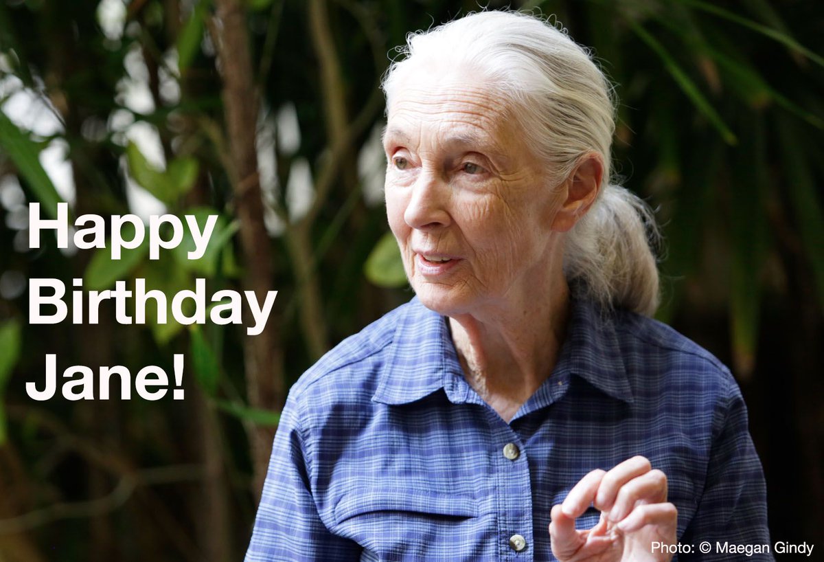 Happy birthday Jane Goodall! 

As a global advocate for nature #conservation and a long-time IUCN Patron of Nature, your tireless, insightful work inspires us all. 

<a href="/JaneGoodallInst/">Dr. Jane Goodall & the Jane Goodall Institute</a> #JaneAt90