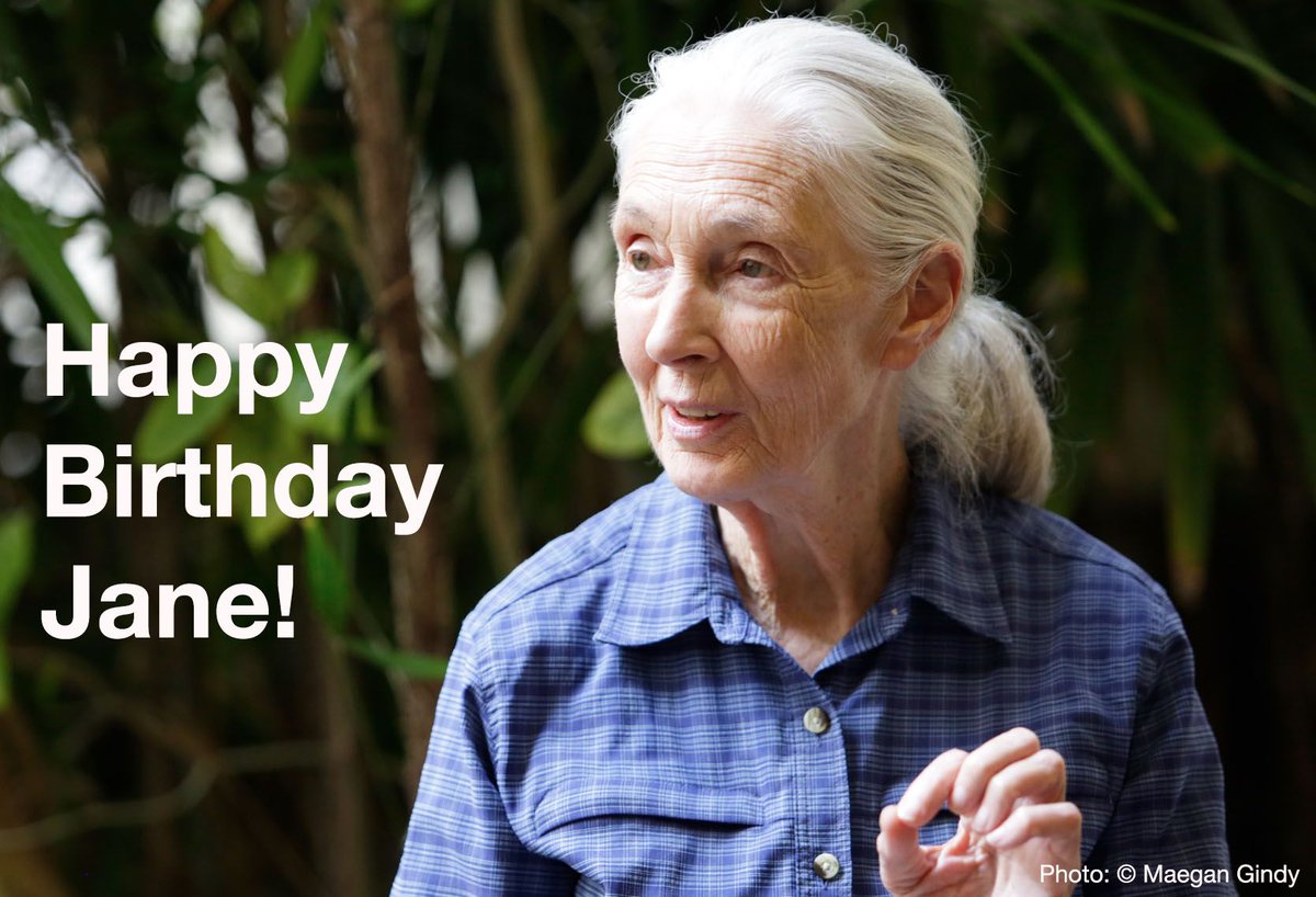 Happy birthday Jane Goodall! As a global advocate for nature #conservation and a long-time IUCN Patron of Nature, your tireless, insightful work inspires us all. @JaneGoodallInst #JaneAt90