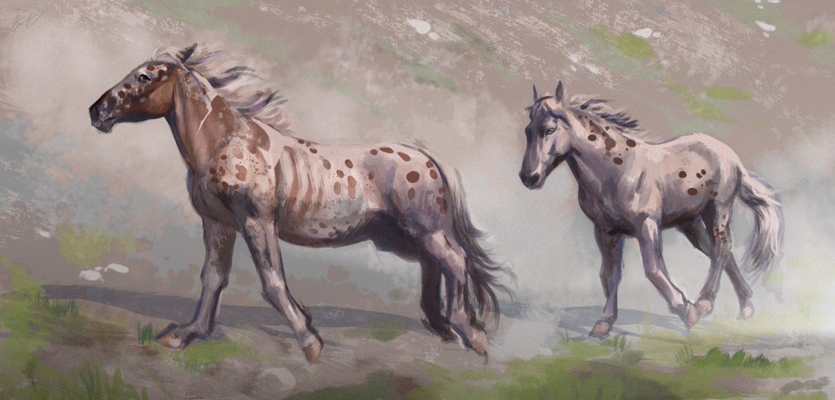 camthecowboyman's tweet photo. Finished the piece from yesterday, two mustangs having a ball together. (Cottonwood Valley art!) https://t.co/A4fa98Rkpu