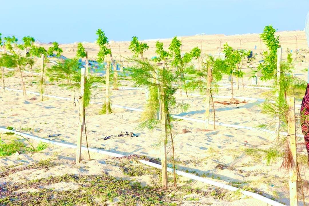 Sabrie1A's tweet image. Kobaca horumarka degmada ayaa sare ukacay iyadoo maanta #Hobyo ay guul weyn utahay

1.korontada magaalada oo 24saac/Solar

2.biyaha magaalada oo iyaguna ah kuwa kufilan balaarina lagu wado

3) si loo cirib tiro bacaadka iyo dhir beero  #OrbitSolutions @KhadijaMakhzumi
 #Hobyo