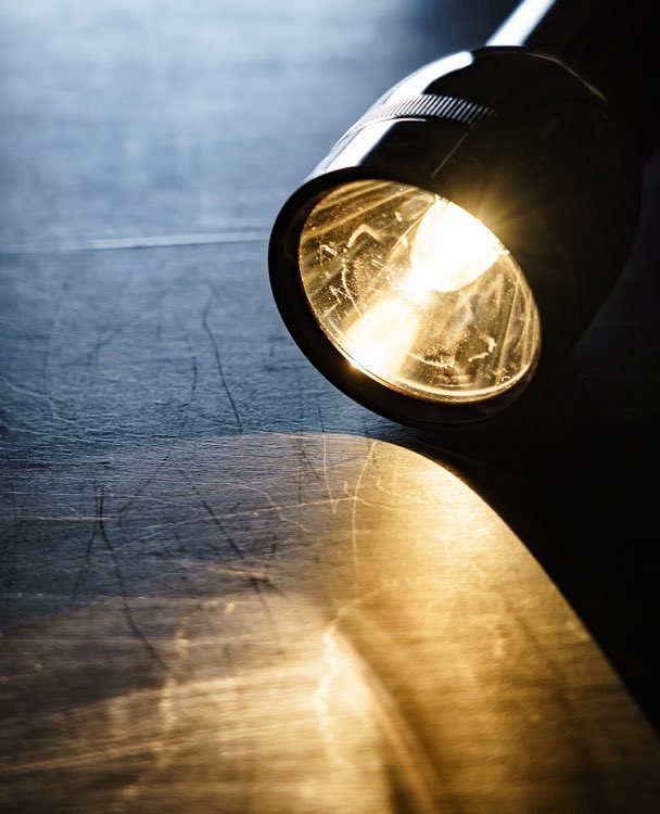 Norman G Powers Public School tweet media