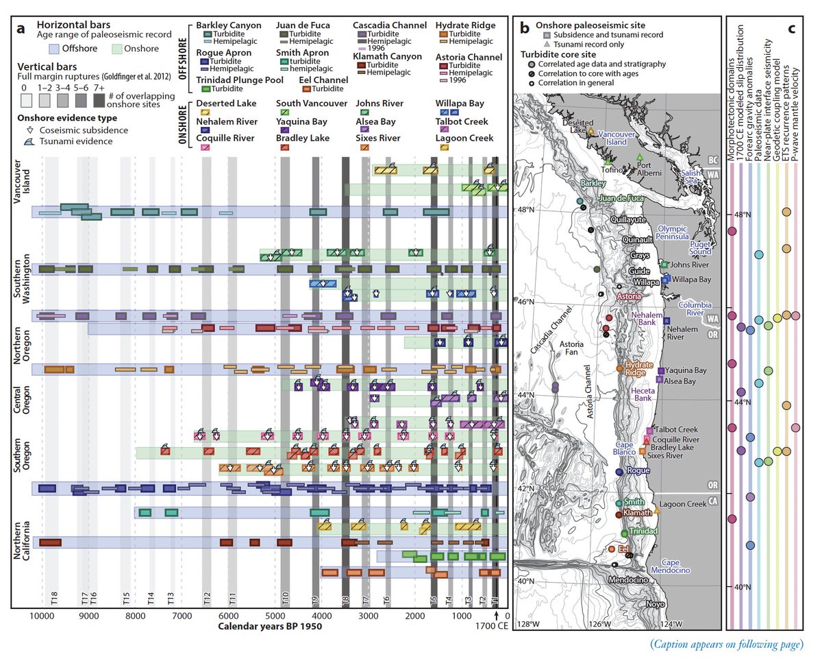 Exciting data release🚨Compilation of published paleoseismic data from Cascadia built by the Cascadia EQ hazards USGS Powell Center working group led by @faultscarp. The goal is to provide benchmarks to test models, compare records, identify data gaps,etc sciencebase.gov/catalog/item/6…