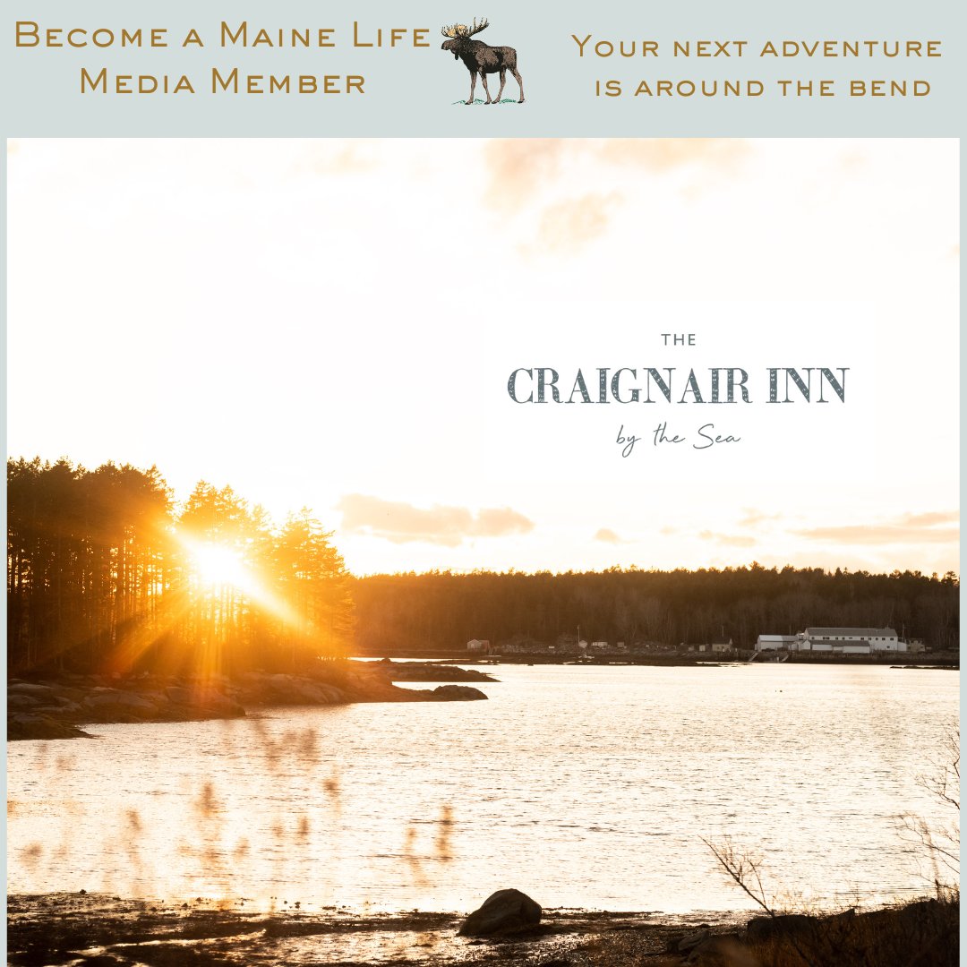 Craignair Inn tweet media
