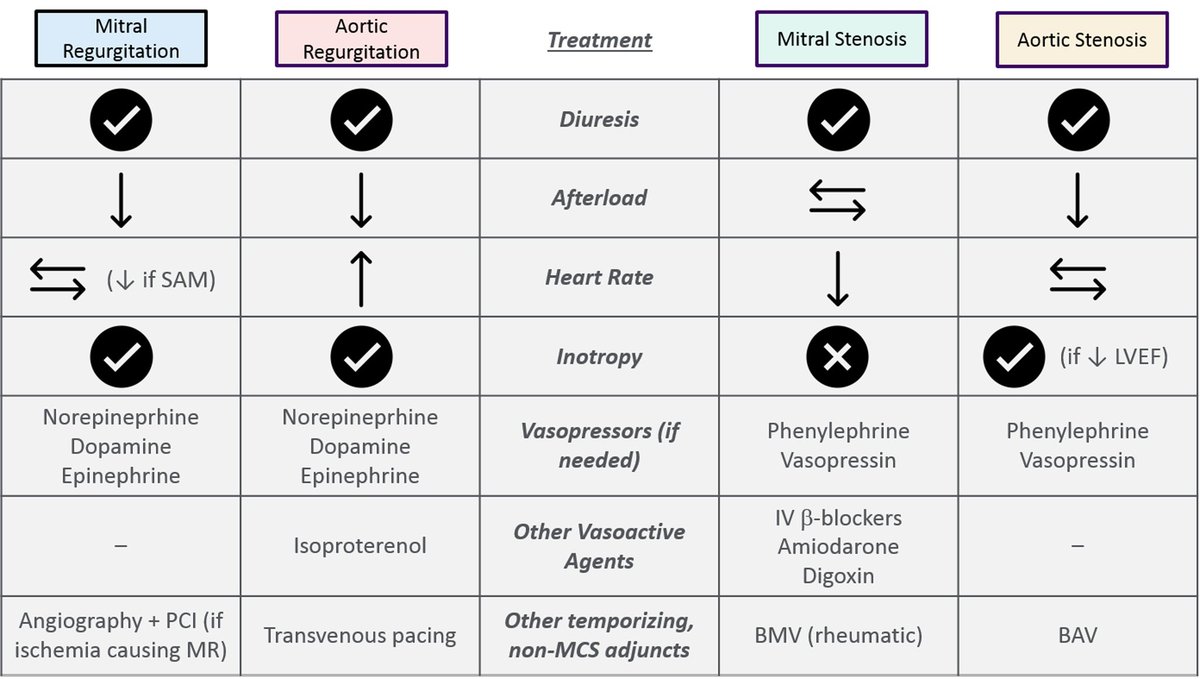 🔴 Acute valvular emergencies #openaccess
#Review
 
academic.oup.com/ehjacc/article…
 #FOAMed #MedEd #medstudent #paramedic #Cardiology #CardioEd #medtwitter #meded #CardioTwitter #cardiotwiteros  #MedX #cardiovascular #MedTwitter #medical #medEd #cardiotwitter #medicinel