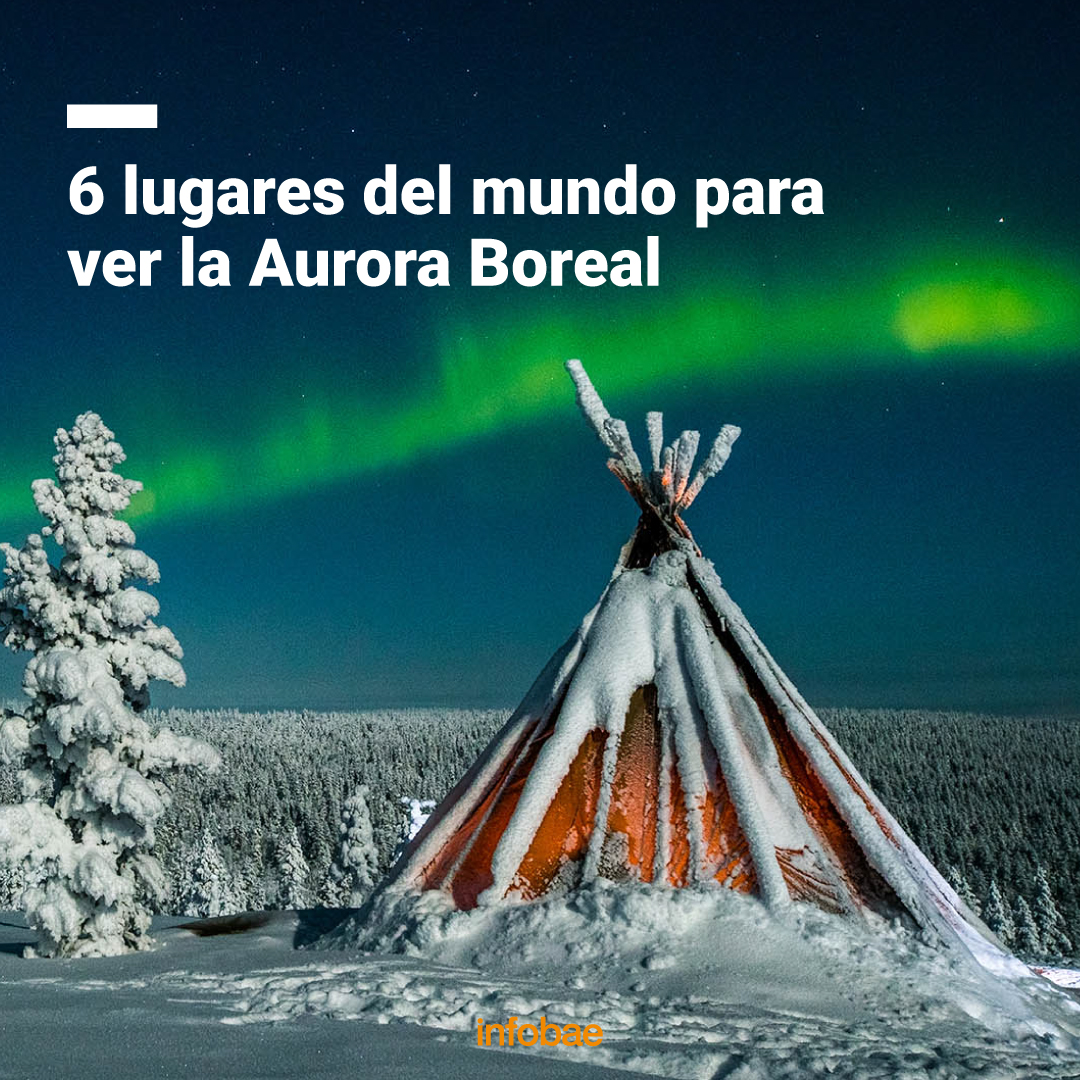 infobae tweet picture