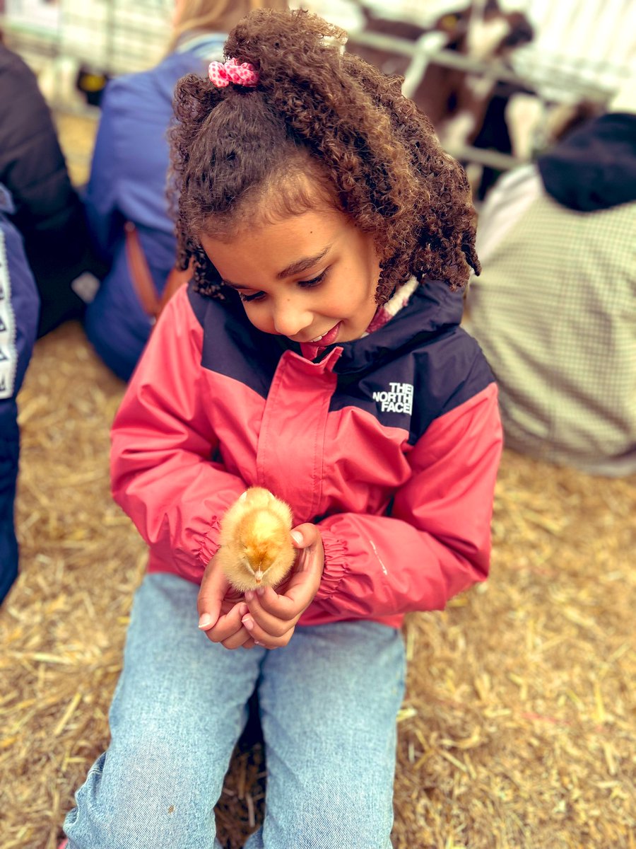 Thank you @HattonWorld for a lovely day out. We had so much fun meeting and feeding all the animals and we really enjoyed the bumpy tractor safari 🚜@Lea_Forest_HT @LFP_MissFreeman