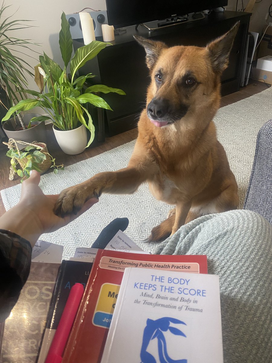 After submitting a big form, I am treating myself to some extracurricular reading (and my dog to some peanut butter ) 🍯
#phdlife #PhDstudents #psychology #literature #readingtime #cutestdog