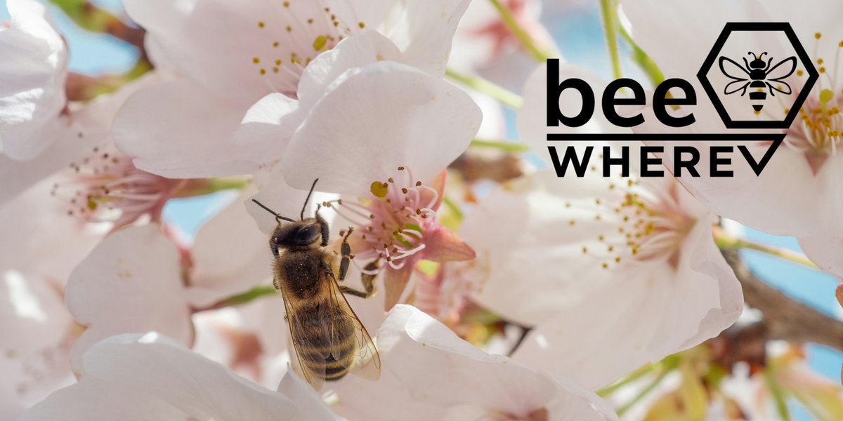 April is BeeWhere Month! BeeWhereCA allows beekeepers and pesticide applicators to share best practices by tracking and safeguarding hive locations across California!
beewherecalifornia.com