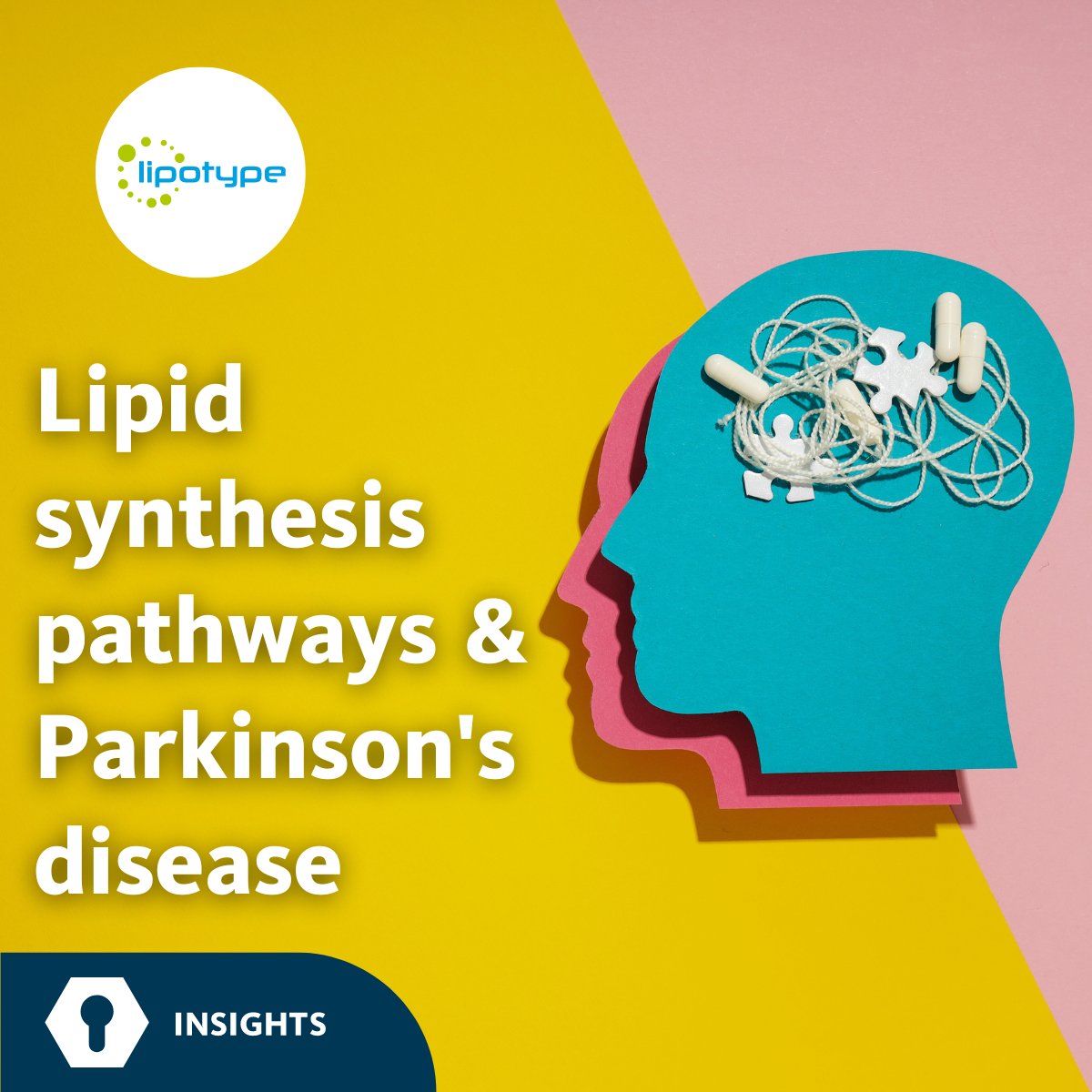 A triacylglycerol lipase LIPE affects lipid metabolism by breaking down TAGs. LIPE plays a role in regulating the levels of phospholipid-incorporated unsaturated fatty acid content. More: lipotype.com/lipidomics-res… #lipid #lipidomics #ParkinsonsDisease #TAG #LIPE #AlphaSynuclein