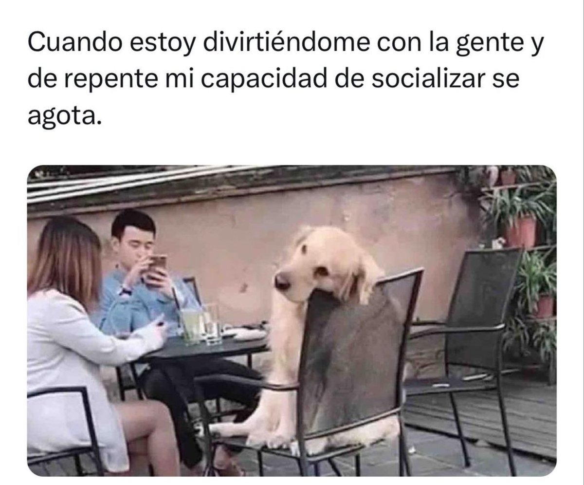 ExaCuernavaca's tweet image. ¿A ti te ha pasado amistad? #introvertido #socializar