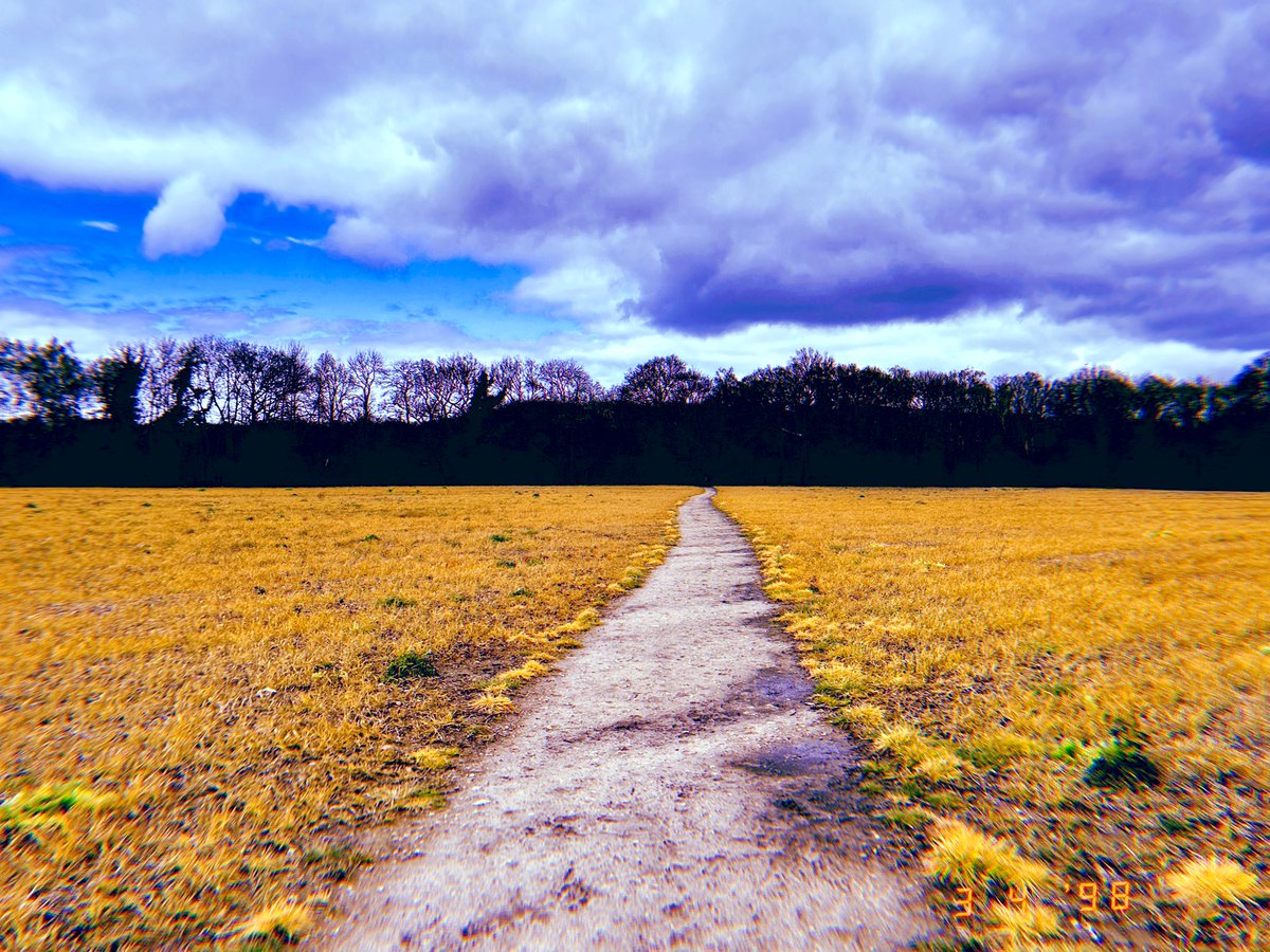 Went for a long walk today. This path resonated with how I feel. Like I’m trudging along trying to get somewhere but not always managing it. I guess that’s grief, knowing you can’t get full happiness after your daughter dies but trying to find some bits of joy in life 💔 #grief