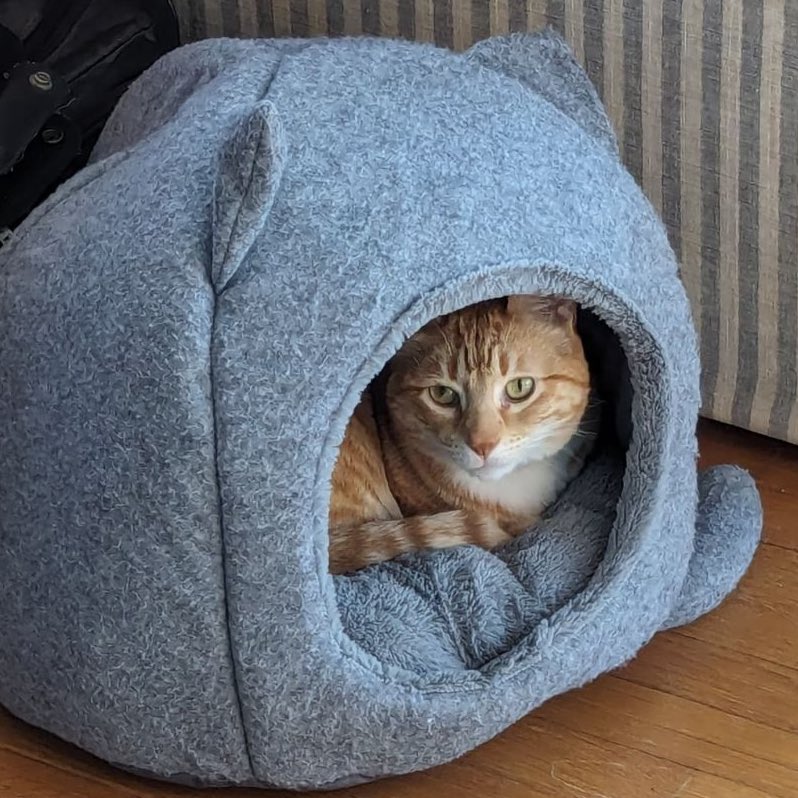 I am WFC today. Working from cave